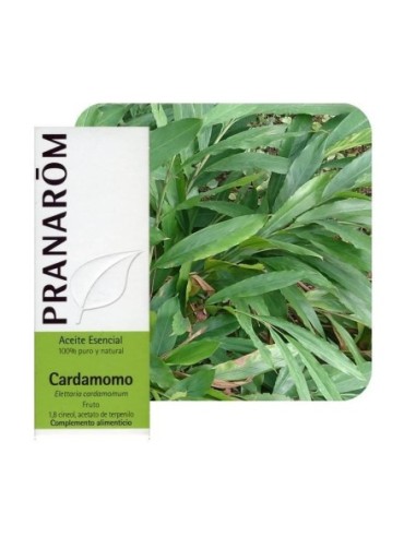 ACEITE ESENCIAL CARDAMOMO PRANAROM