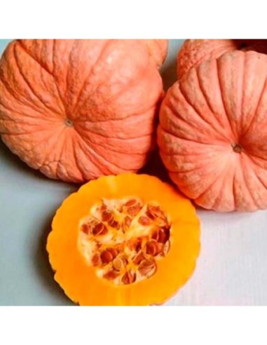 CALABAZA ASAR