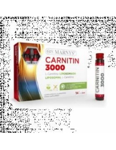 CARNITINA 3000 14 VIALES MARNYS