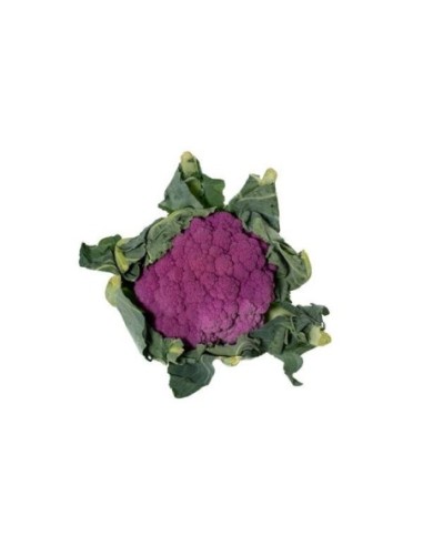 COLIFLOR MORADA