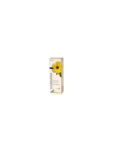 DAMIANA SORIA NATURAL EXTRACTO