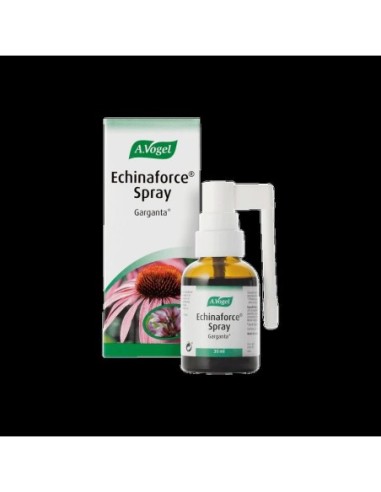 ECHINACEA SPRAY VOGEL