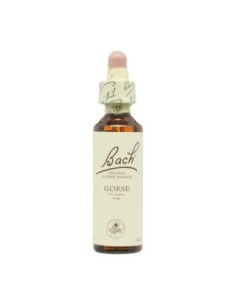 FLOR BACH 13 GORSE