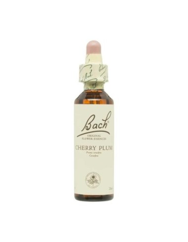 FLOR BACH 6 CHERRY PLUM