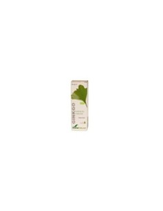 GINKGO BILOBA EXTRACTO SORIA