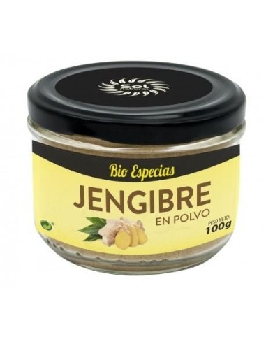 JENGIBRE POLVO BIO SOL NATURAL 100GR