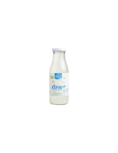 KEFIR UP AGUA CANTERO LETUR