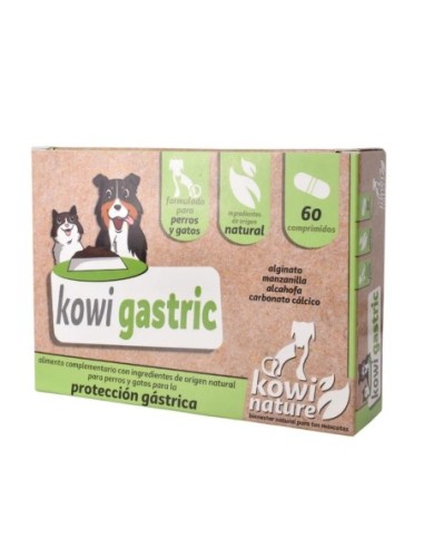 KOWI GASTRIC 60 COMPRIMIDOS