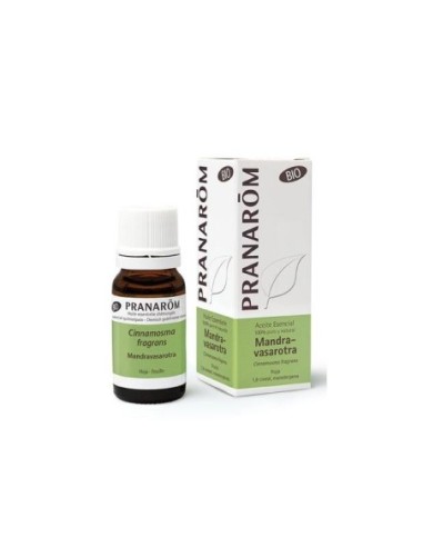 MANDRAVASAROTRA ACEITE ESENCIAL