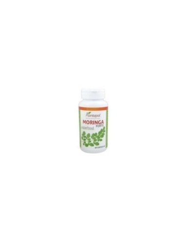 MORINGA FORTE 60 CAPS PLATAPOOL