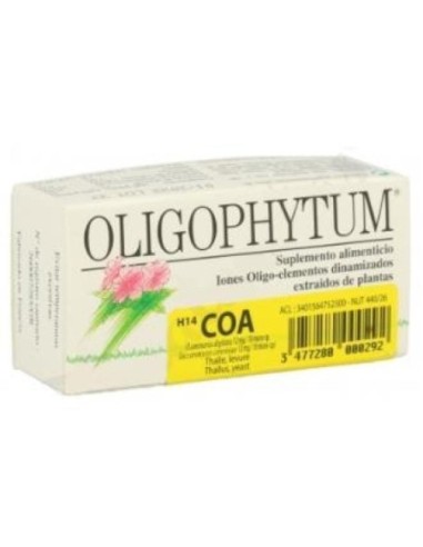 OLIGOPHYTUM H14 COBRE ORO PLATA